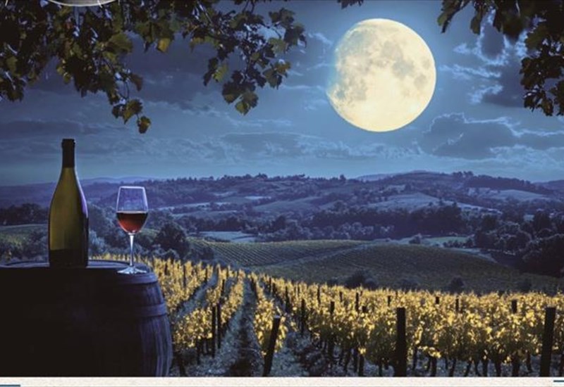 full-moon-events-kathe-panselinos-tou-kalokairiou-einai-monadiki-stin-oinopoiia-psarouli